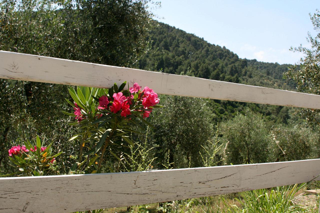 Agriturismo Affittacamere Atlhos Vieste Buitenkant foto